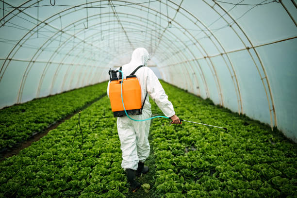 Best Pest Control for Restaurants  in Arabi, LA