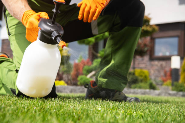 Wildlife Control Services in Arabi, LA
