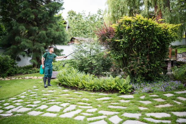 Best Best Pest Control Companies  in Arabi, LA