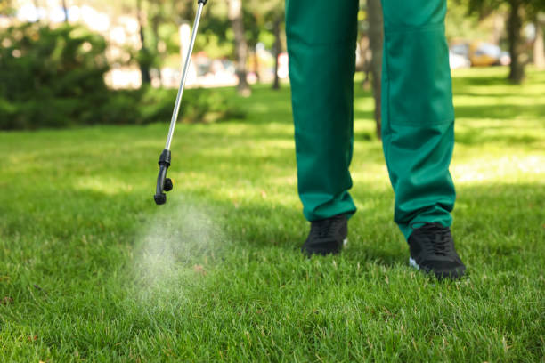 Best Pest Inspection Near Me  in Arabi, LA