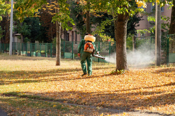 Best Wasp Removal Services  in Arabi, LA