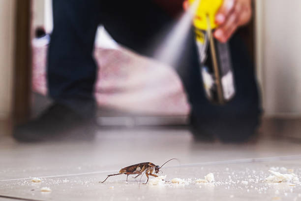 Best Bed Bug Extermination  in Arabi, LA