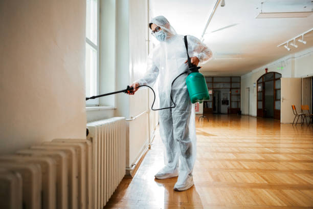 Best Cockroach Control Services  in Arabi, LA