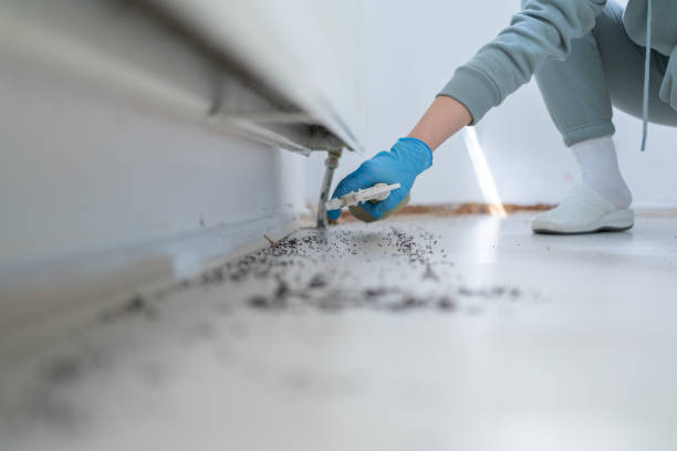 Best Emergency Pest Control  in Arabi, LA