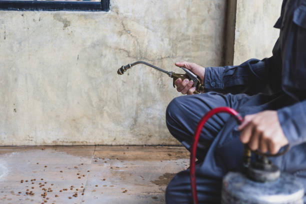 Best Pest Prevention Services  in Arabi, LA